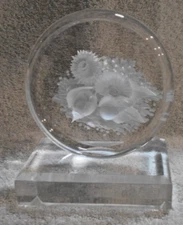 Lucite Seashell Paperweight