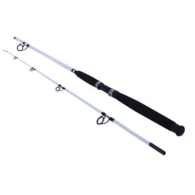 8  Big Game Spinning Rod, Two Piece Surf Rod