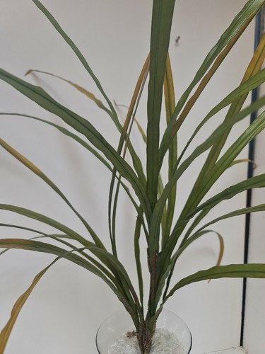 3 X Artificial green/yellow Leaf Orchid large Plants 100cm Foliage, Greenery - Picture 3 of 12