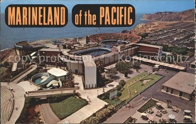 Palos Verdes Peninsula Marineland of the Pacific Top Deck Stadium Killer Whale S