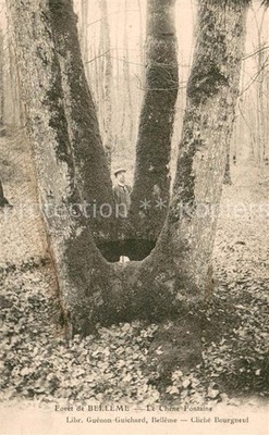 Belleme 61 Foret - Le Chene Fontaine