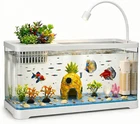 5 Gallon Fish Tank Aquarium Starter Kit with Filter and Light, All in One Small