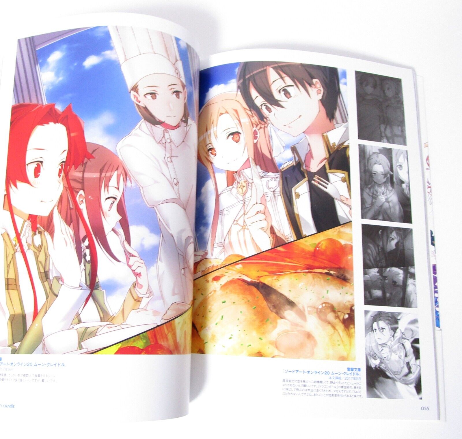 Sword Art Online 20 (light novel): Moon Cradle