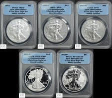 2011 5-Coin 25th Anniversary American Silver Eagle Set ANACS PR/SP/MS 70