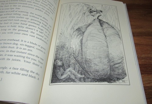 Giant Cold ~ Peter Dickinson. Illust Alan E. Cober. 1st HbDj 1984 HERE in MELB - Picture 9 of 12