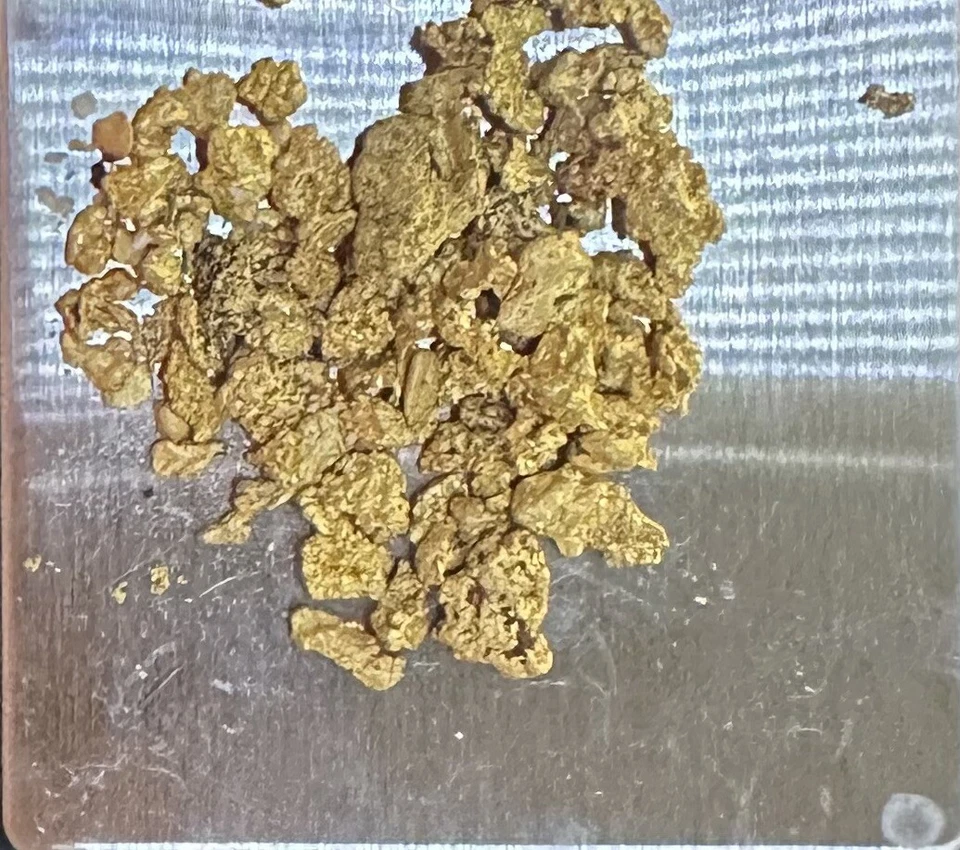 Paydirt bag from Clermont containing at least 1 gram of gold - image 2 of 2