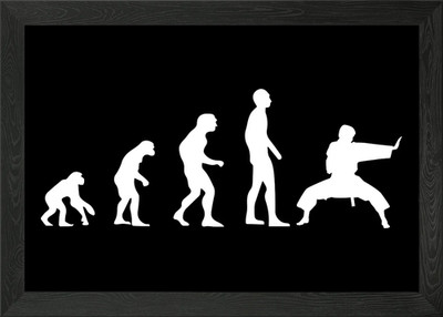 Karate Evolution Karate Ma Framed Wall Art Poster Canvas Print Picture
