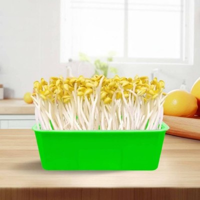 Bean Sprout Grower Box Two-Layer Design Gardening Supply Easy to Observe