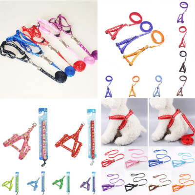 Pet Pipy Dog Cat Traction Huisse Collier Haustierhund Pet Leine Cord Belle §