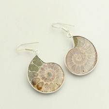 Ammonite Fossil Gemstone Handmade Drop Dangle Earrings Jewelry 1.8