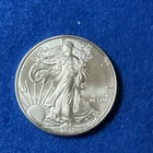 2013 American Silver Eagle 1 Troy Oz. .999 Fine One Dollar Coin BU