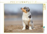Calvendo Puzzle Australian Shepherd Welpe Am Strand | 1000 Teile Lege-GrößE 64X4