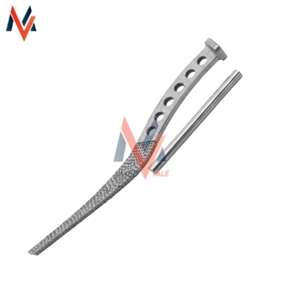 Rasp Austin Moore Standard Stem Orthopedic Surgical Instruments A+ Quality