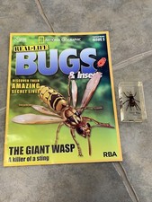 Giant Wasp BUGS Issue 5 National Geographic Magazine And Bug In Resin 