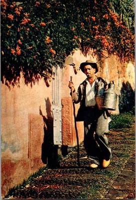 Funchal Madeira Milkman Holding Milk Cans Continental Postcard C018