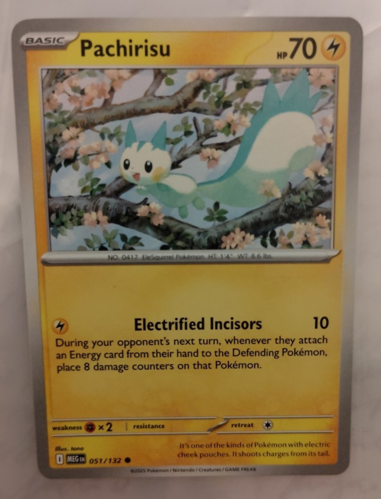 Pachirisu 051/132 Mega Evolution Pokémon Card NM
