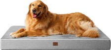 Waterproof Memory Foam Dog Bed XL 41"x27" Removable Cover