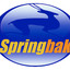 SPRINGBAKCOINS