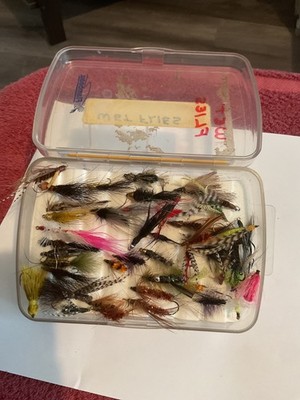 Fly Fishing Flies Kit Assortment Trout Bass with Fly Box Dry/Wet Flies 