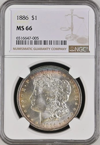 1886 Morgan Dollar MS-66 NGC VIDEO