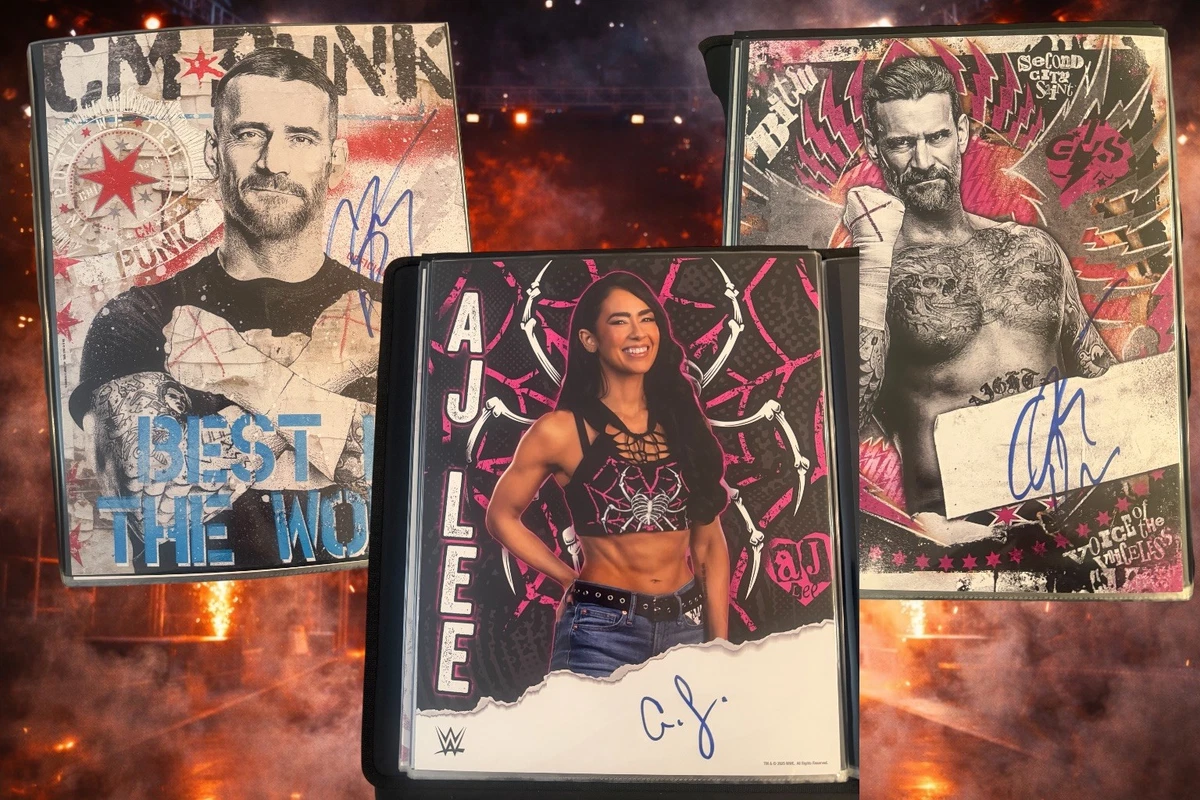 CM Punk Wrestling Original Autographed Items for sale | eBay