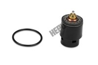 Hepu Thermostat KüHlmittel 105°C FüR VW UP Polo Skoda Citigo Fabia III 121
