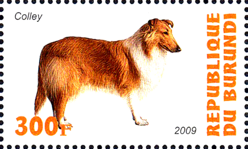 Estampillada sin montar o nunca montada animal mascota perro pelo largo Collie raza Inglaterra Reino Unido / 1458 - Imagen 1 de 1