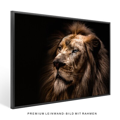 XXL Wandbild Leinwand 'Albino Löwe' - Tiermotiv, Mit Rahmen, Moderner Kunstdruck Für Wohnzimmer & Mehr