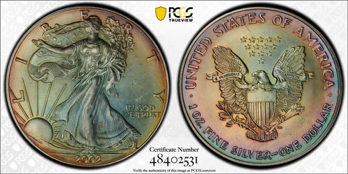 2002 PCGS MS American Silver Eagle~Vibrant Rainbow Toning~Eye Appeal~Slabbed