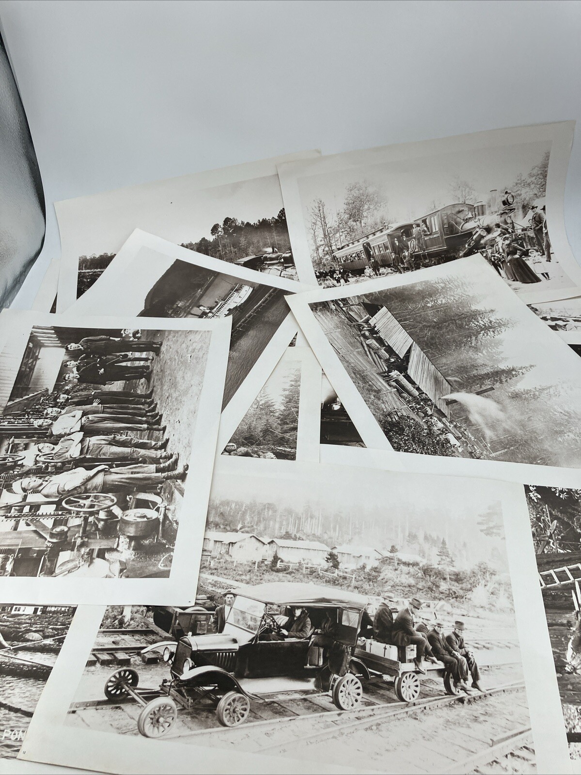 Lot Georgia Pacific Historical Museum 1880-1920 Glory Days Logging Photographs