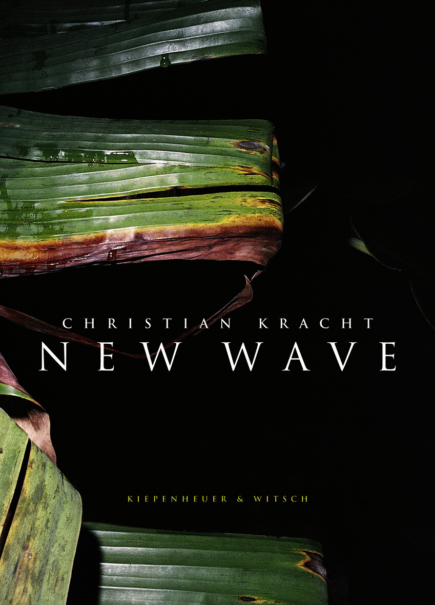 Thumbnail - Christian Kracht / Wave