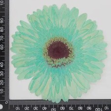 One Piece Real Pressed Dried daisy Flower, Dyed color Blue Flower Head FHT45 3