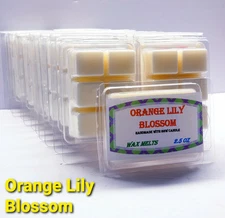 ORANGE LILY BLOSSOM -Bath & Body Works Candle Wax Melts- $6 per pack