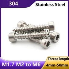 Socket Head Self-Tapping Cap Screws A2 Stainless Steel M1.7 M2 M2.5 M3 M4 M5 M6