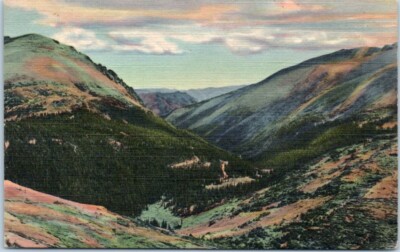 FALL RIVER CANYON Mummy Range and Trail Bridge COLORADO CO birds - Postcard