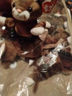 Ty Beanie Baby Lot Of 10 Vintage Pounce The Cat Plush Animal