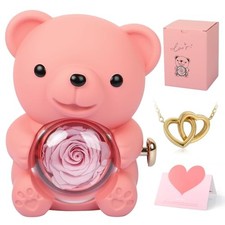 Cute Teddy Bear with Preserved Rose, Real Eternal Rose in Bear with Pink
