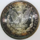 1881-S Morgan Silver Dollar $1 San Francisco Mint~ NGC MS64 ☆☆☆Nice Toning!