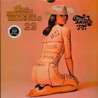 Vinile - Mood Mosaic 22 (The) / Various (2 Lp) - Mood Mosaic Records -D- Neu