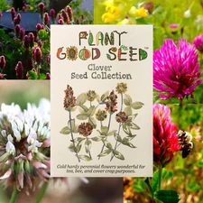 Clover Seed Collection - White Micro Clover, Crimson Clover, Red Clover, Organic
