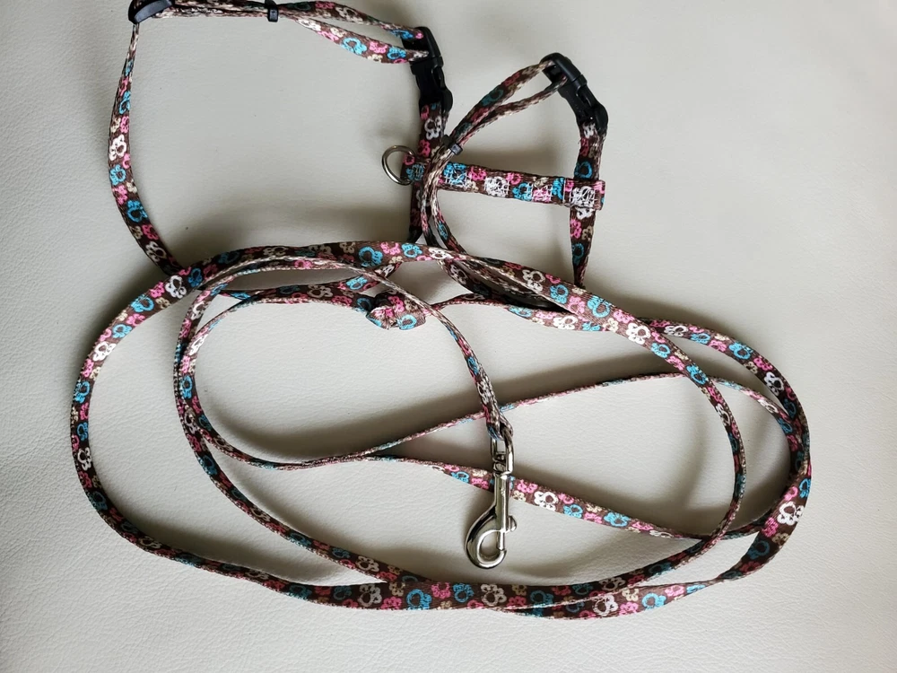 Dog Harness And Leash Size Small