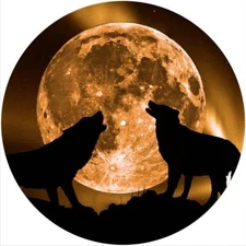 Slipmat Scratch Pad Felt for 12" Turntable LP DJ Vinyl Record Player MOJO MOON 1