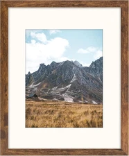 Brown 11X14 Picture Frame with Mat for 8X10 Display, Rustic Wall Photo Frame for