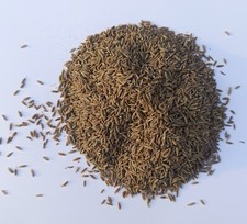 200 g Pack of Pair Cumin seeds Organic cumin seeds Spices Free Shipping