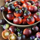 Seeds Tomato Indigo Rose Rare Vegatable NON-GMO Organic Heirloom Ukraine