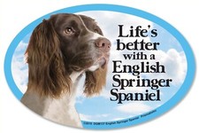 Life's better with a English Springer Spaniel 6 x 4 Oval Dog Magnet for Cars