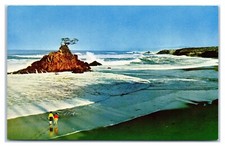 Fogerty Creek near Depoe Bay Oregon Coast c1950s Postcard
