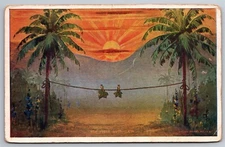 Two Fig Leaves On Clothesline The First Wash Day Sunrise 1904 UDB Postcard R15