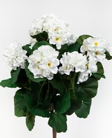 Geranie 38Cm Weiß -Ohne Topf- Zf Kunstpflanzen KüNstliche Blumen Kunstblumen