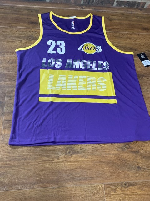 lakers 23 james jersey